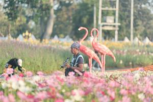 BIB: 
                            <button type="button" onclick="openModal(27344099)" class="btn btn-primary btn-sm float-right btn-popup" data-toggle="modal" data-target=".modal-high-quality">
                        <i class="fas fa-shopping-cart"></i> Add to Cart
                    </button>
                                            <button type="button" onclick="isThisMe(27344099, true)" class="btn btn-success btn-sm float-right btn-popup btn-isme hidden" data-toggle="tooltip" data-placement="bottom" title="นี่คือรูปของคุณใช่ไหม คลิกที่นี่เพื่อเอาเข้าอัลบั้ม">
                        <i class="fas fa-plus"></i> Add to album
                    </button>
                    <button type="button" onclick="isThisMe(27344099, false)" class="btn btn-warning btn-sm float-right btn-popup btn-isnotme hidden">
                        <i class="fas fa-ban"></i> Remove from album
                    </button>